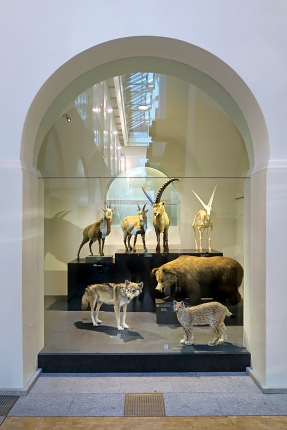 naturhistorisches museum der universitat zurich 8-2024 1025